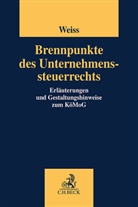 Manuel Brühl, Thomas Lorenz, Martin Weiss, Manuel Brühl, Julia Busch, Julia Busch u a... - Brennpunkte des Unternehmenssteuerrechts