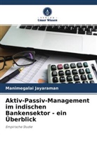 Manimegalai Jayaraman - Aktiv-Passiv-Management im indischen Bankensektor - ein Überblick