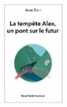 Anne Dorr - La tempête Alex, un pont sur l'avenir