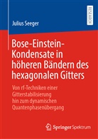 Julius Seeger - Bose-Einstein-Kondensate in höheren Bändern des hexagonalen Gitters