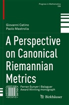 Giovann Catino, Giovanni Catino, Paolo Mastrolia - A Perspective on Canonical Riemannian Metrics