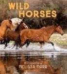 Melissa Marr - Wild Horses