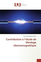 Youcef Islam Djilani Kobibi - Contribution à l'étude de blindage électromagnétique