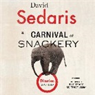 David Sedaris, David Sedaris, Tracey Ullman - A Carnival of Snackery (Audio book)