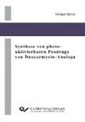 Michael Müller - Synthese von photo-aktivierbaren Prodrugs von Duocarmycin-Analoga