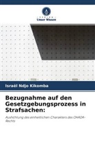 Israël Ndjo Kikomba - Bezugnahme auf den Gesetzgebungsprozess in Strafsachen: