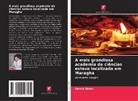 Ramiz Daniz - A mais grandiosa academia de ciências estava localizada em Maragha