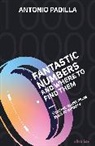 Antonio Padilla - Fantastic Numbers and Where to Find Them