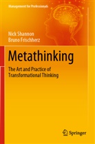 Bruno Frischherz, Nic Shannon, Nick Shannon - Metathinking