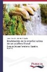 José E. Capilla, Ignacio Sanz Garrido - Modelación de la interfaz salina de un acuífero litoral