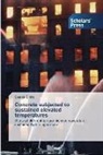 Deepa Sinha - Concrete subjected to sustained elevated temperatures