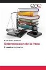 Nicolás Cusicanqui Morales - Determinación de la Pena