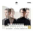 Franz Schubert - Fragment:Schubert String Quartets (Audio book)