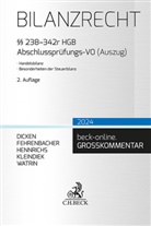 André Dicken, Olive Fehrenbacher, Oliver Fehrenbacher, Joachim Hennrichs, Joachim Hennrichs u a, Martin Henssler... - Bilanzrecht