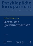 Bernhard W. Wegener - Enzyklopädie Europarecht (Bd. 8)