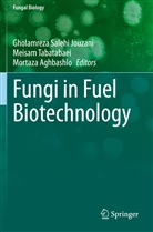 Mortaza Aghbashlo, Gholamreza Salehi Jouzani, Meisa Tabatabaei, Meisam Tabatabaei - Fungi in Fuel Biotechnology