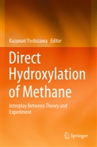 Kazunar Yoshizawa, Kazunari Yoshizawa - Direct Hydroxylation of Methane