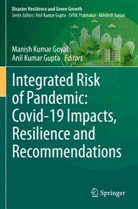 Manish Kumar Goyal, Anil Kumar Gupta, Indian Institute of Technology, Indian Institute of Technology Indore, Institute o, Institute of Disas... - Integrated Risk of Pandemic: Covid-19 Impacts, Resilience and Recommendations