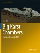 Eric Gilli - Big Karst Chambers