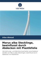 Irfan Ahmad - Morus alba Stecklinge, beeinflusst durch Abdecken mit Plastikfolie