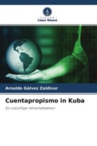 Arnaldo Gálvez Zaldívar - Cuentapropismo in Kuba