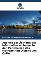 Aracelly Stephanie Morillo Ponce - Analyse der Ästhetik des informellen Wohnens in den Peripherien des Metropolitan District von Quito