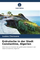 Loubna Cherouana - Erdrutsche in der Stadt Constantine, Algerien