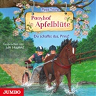 Jule Hupfeld, Pippa Young - Ponyhof Apfelblüte. Du schaffst das, Prinz!, Audio-CD (Audio book)