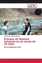 Luis Ignacio Palacios Suarez - Proceso de Ruptura Amorosa en un Joven de 23 Años