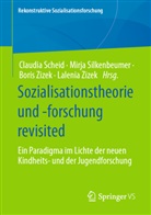 Claudia Scheid, Claudia Scheid u a, Mirj Silkenbeumer, Mirja Silkenbeumer, Boris Zizek, Lalenia Zizek... - Sozialisationstheorie und -forschung revisited