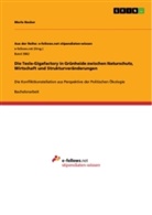 Merle Becker - Die Tesla-Gigafactory in Grünheide zwischen Naturschutz, Wirtschaft und Strukturveränderungen