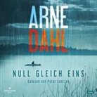 Arne Dahl, Peter Lontzek - Null gleich eins, 2 Audio-CD, 2 MP3 (Livre audio)
