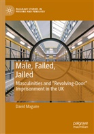 David Maguire - Male, Failed, Jailed
