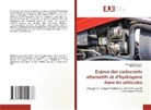 Hamdi Hentati, Mohamed Ali Jemni - Enjeux des carburants alternatifs et d'hydrogène dans les véhicules