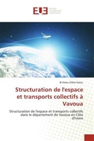 Bi Kalou Didier Kalou - Structuration de l'espace et transports collectifs à Vavoua
