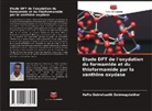 Haftu Gebretsadik Gebreegziabher - Étude DFT de l'oxydation du formamide et du thioformamide par la xanthine oxydase