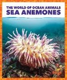 Adeline J Zimmerman, Adeline J. Zimmerman, n/a - Sea Anemones