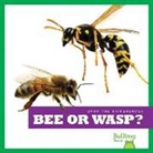 Adeline J Zimmerman, Adeline J. Zimmerman, n/a - Bee or Wasp?