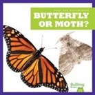 Adeline J Zimmerman, Adeline J. Zimmerman, n/a - Butterfly or Moth?