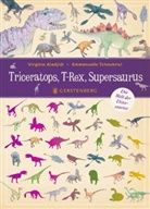 Virginie Aladjidi, Emmanuelle Tchoukriel, Emmanuelle Tchoukriel, Cornelia Panzacchi - Triceratops, T-Rex, Supersaurus