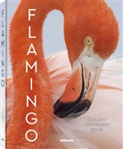 Claudio Contreras Koob - Flamingo