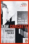 Barnabas Calder - Raw Concrete
