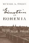Michael D. Gordin, Professor Michael D. Gordin - Einstein in Bohemia