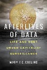 Mary F.e. Ebeling, Ebeling Mary F.E. - Afterlives of Data