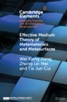 Ti Jun Cui, Tie Jun Cui, Cui Tie Jun, Wei Xiang Jiang, Wei Xiang Mei Jiang, Jiang Wei Xiang... - Effective Medium Theory of Metamaterials and Metasurfaces