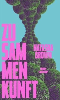 Natasha Brown - Zusammenkunft - Roman