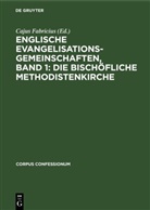 Cajus Fabricius - Englische Evangelisationsgemeinschaften, Band 1: Die Bischöfliche Methodistenkirche