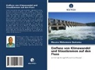 Moussa Mahamane Oumarou - Einfluss von Klimawandel und Staudämmen auf den Fluss