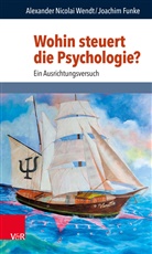 Joachim Funke, Alexander Nicolai Wendt, Christoph Hubig, Jüttemann, Gerd Jüttemann - Wohin steuert die Psychologie?