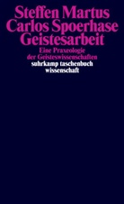 Steffe Martus, Steffen Martus, Carlos Spoerhase - Geistesarbeit
